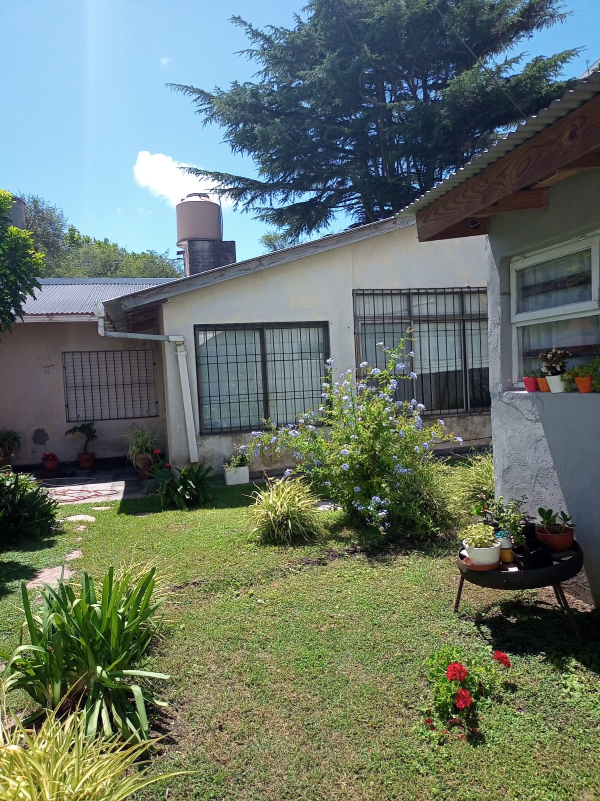 #4809324 | Temporary Rental | Horizontal Property | Mar Del Plata (BERTO PROPIEDADES )