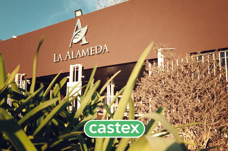 #5228668 | Sale | Lot | La Alameda (Castex Propiedades)