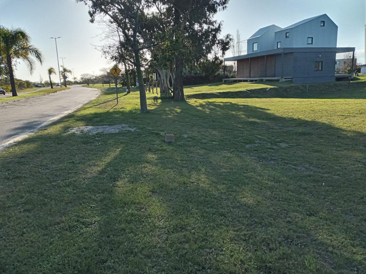 #3167092 | Venta | Lote | Colonia del Sacramento (Terrasol)