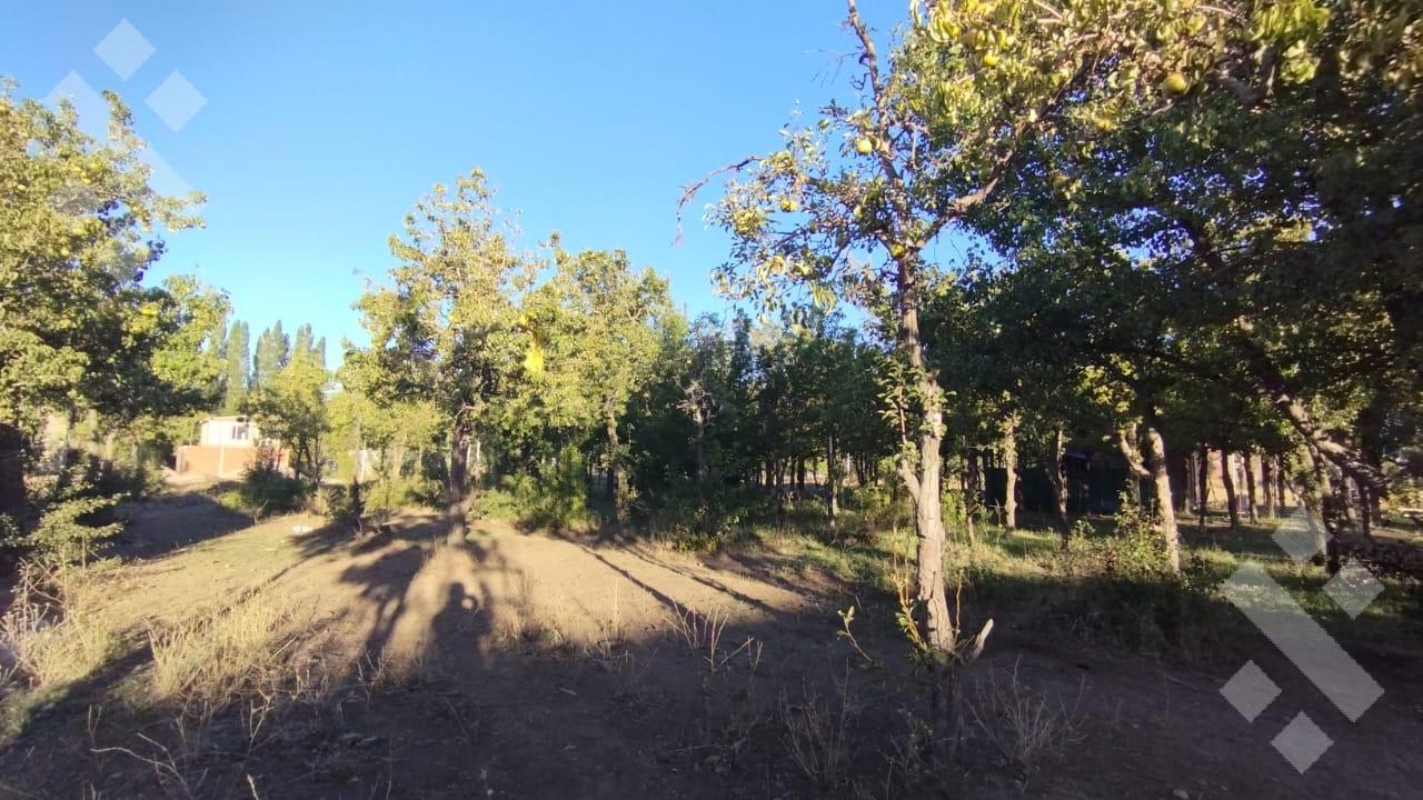 #5027957 | Venta | Lote | Neuquen (Leonardo Sfeir)