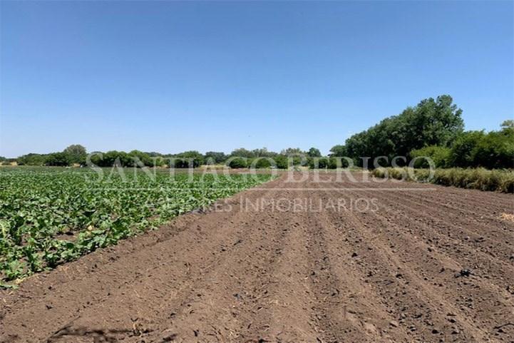 #5038649 | Sale | Farm | Parada Robles (SB Asesores Inmobiliarios)