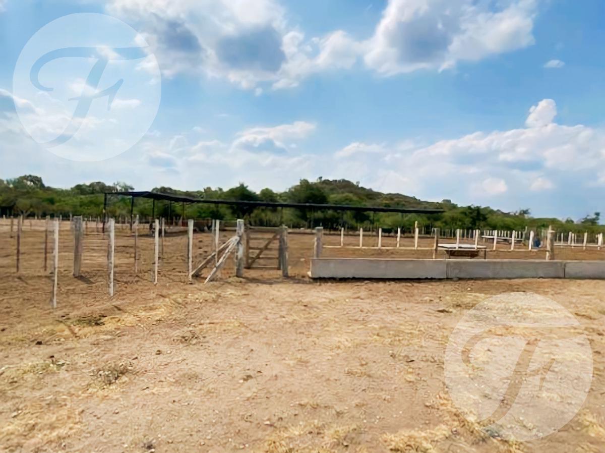 #3242292 | Venta | Campo / Chacra | Villa General Roca (Fauro Propiedades)