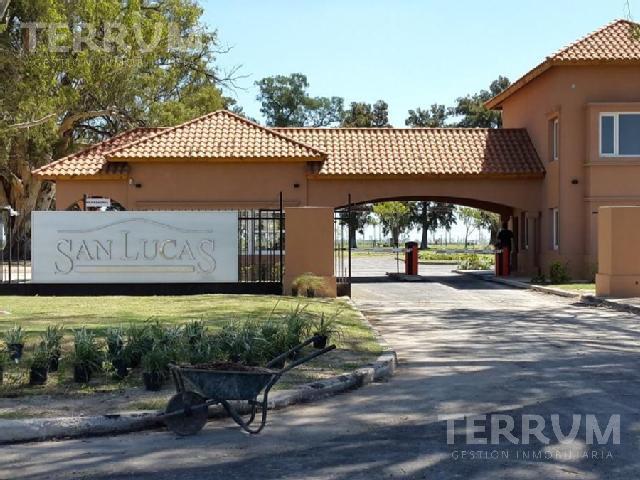 #4993727 | Venta | Lote | San Lucas Village (Terrum)