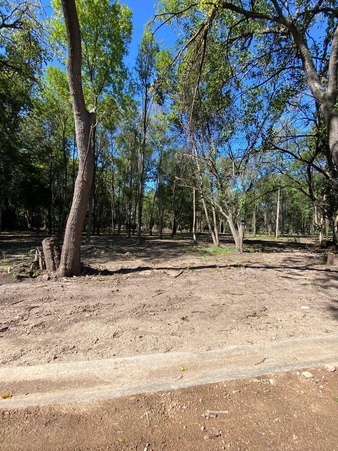 #4239816 | Venta | Lote | Jose C. Paz (Pescio Inmobiliria)