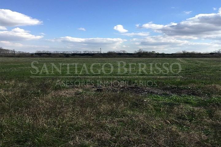 #5038664 | Venta | Campo / Chacra | Campana (SB Asesores Inmobiliarios)