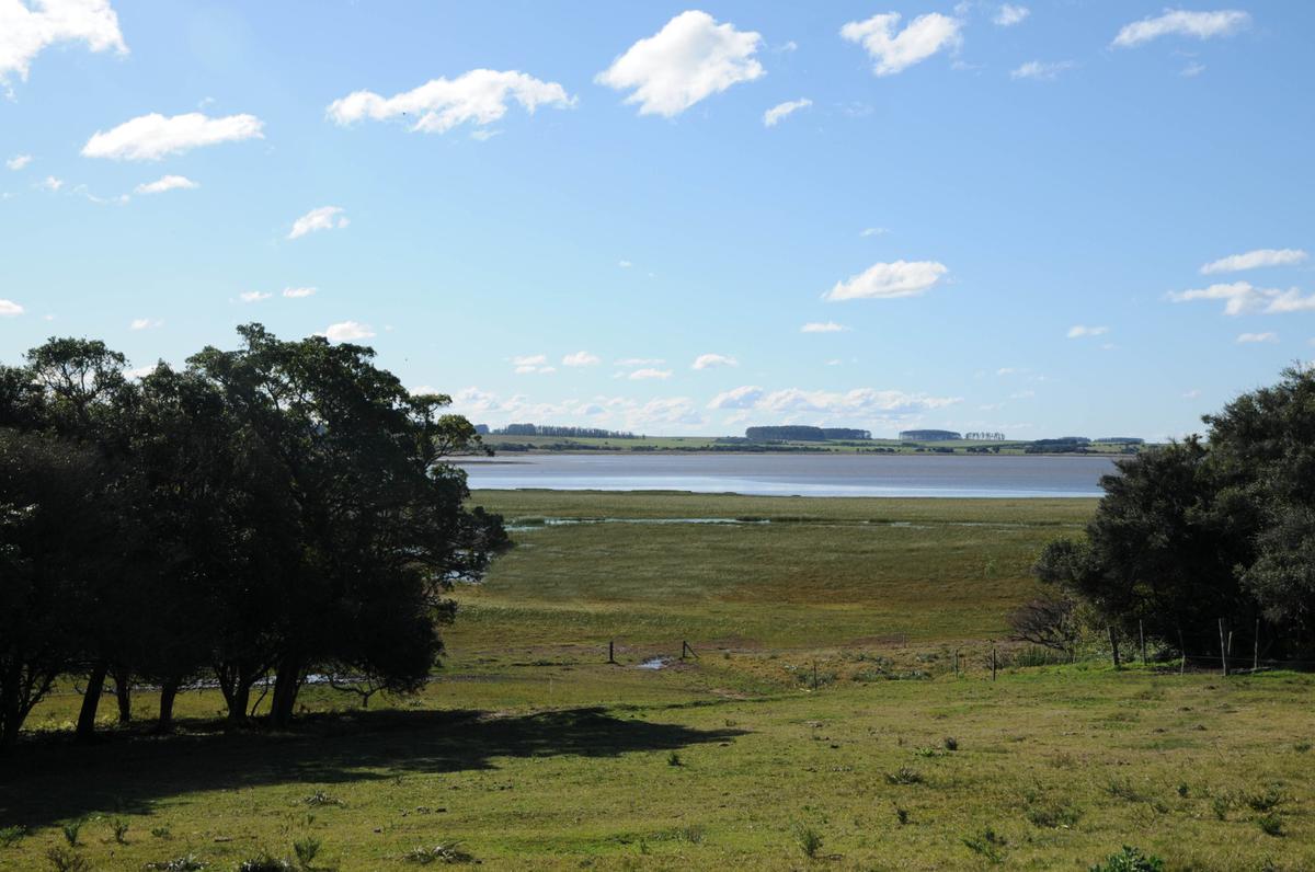 #3449976 | Venta | Campo / Chacra | Laguna de Jose Ignacio (Terramar)