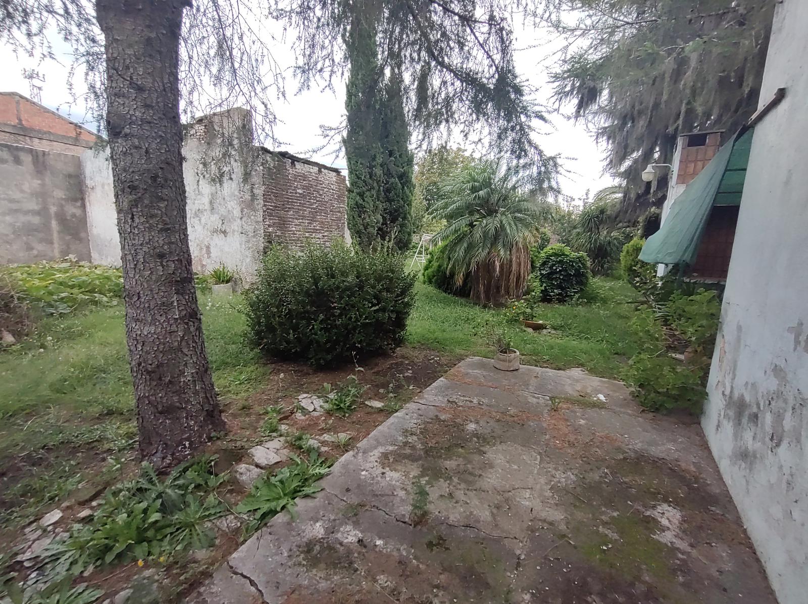 #4981251 | Sale | House | Peyrano (DOMUM)