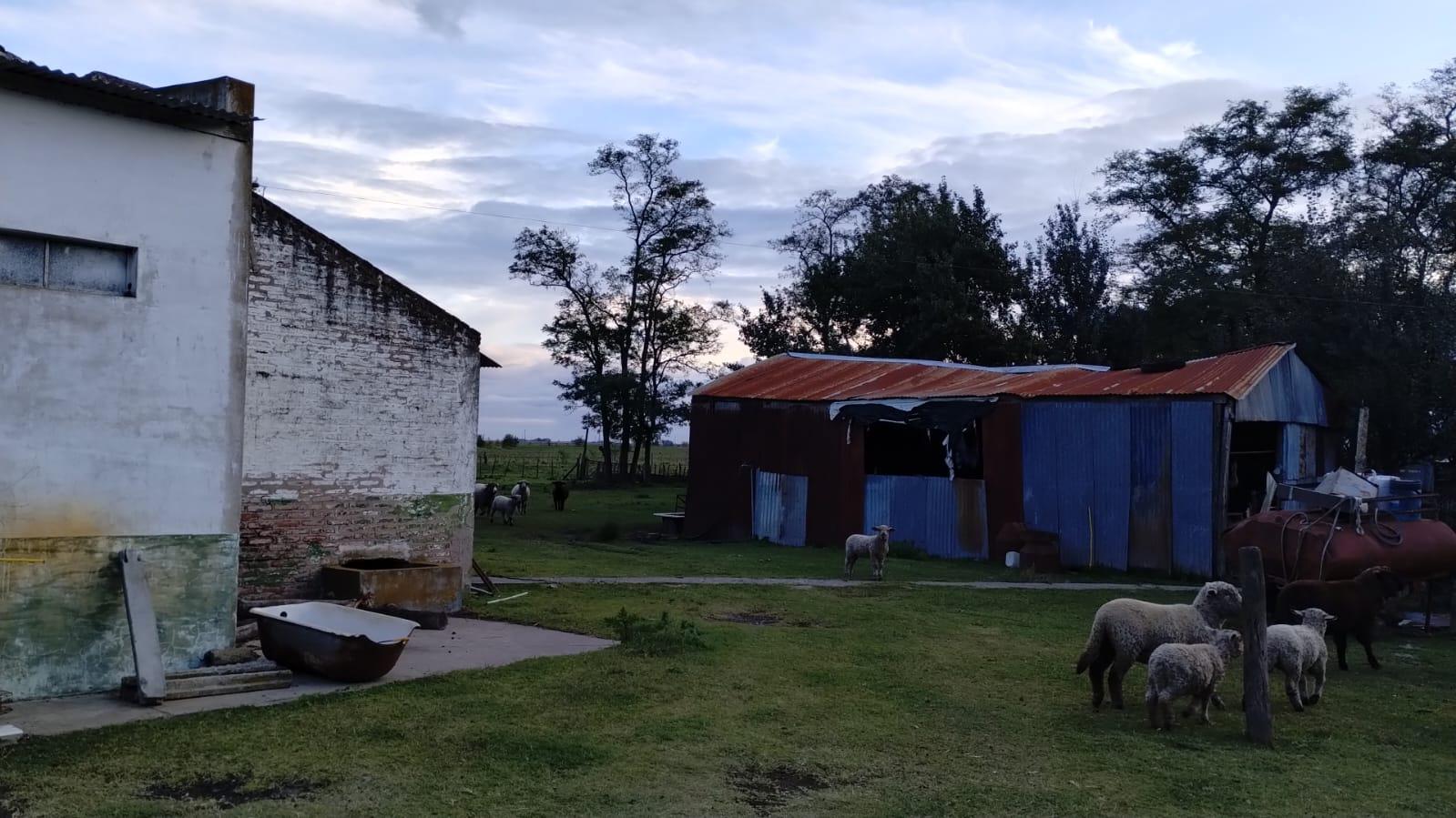 #4872460 | Venta | Campo / Chacra | Ayacucho (Natalia Zaccaría Negocios Inmobiliarios )