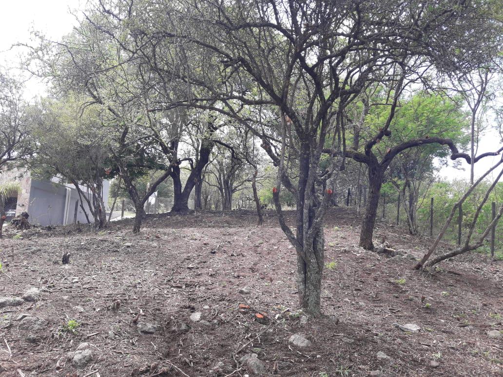 #1636273 | Venta | Lote | La Granja (López  Baena Propiedades)