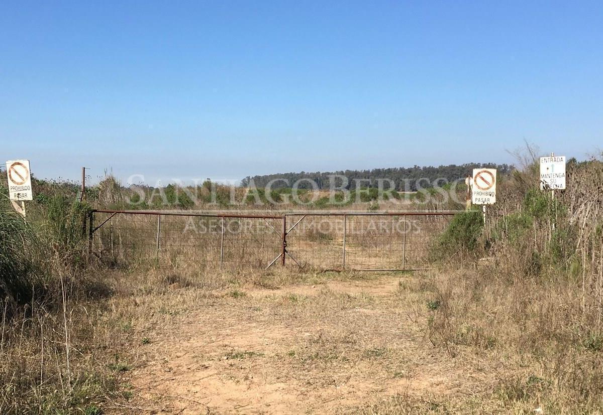 #5038668 | Sale | Farm | Campana (SB Asesores Inmobiliarios)