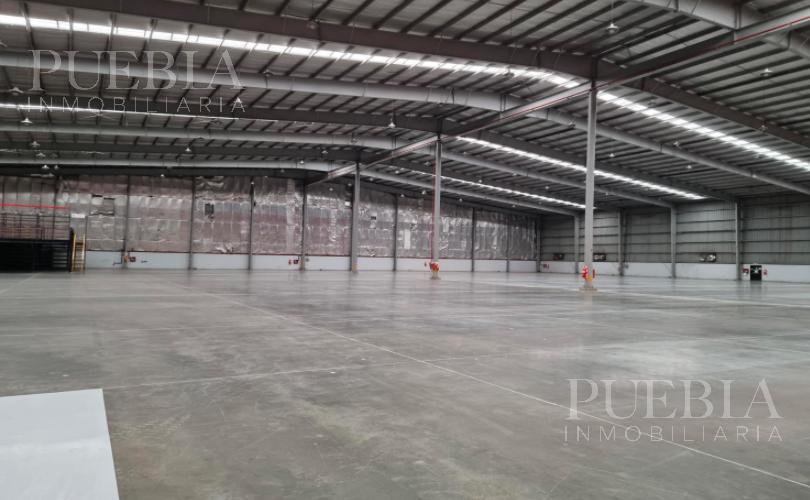 #4918830 | Rental | Warehouse | Ricardo Rojas (Puebla Inmobiliara)