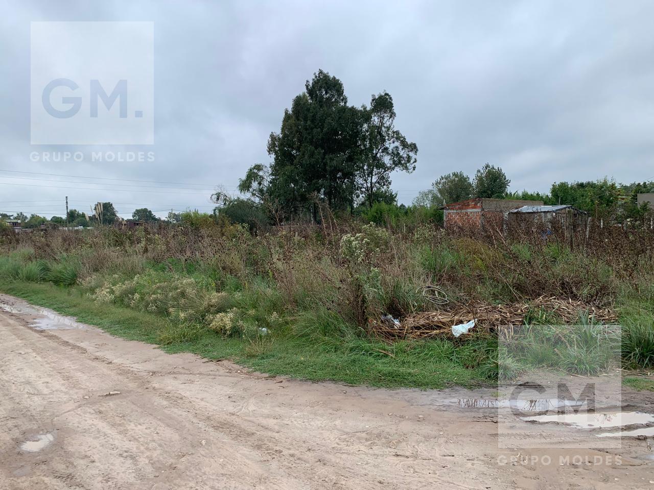 #5076839 | Venta | Lote | San Vicente (Grupo Moldes)