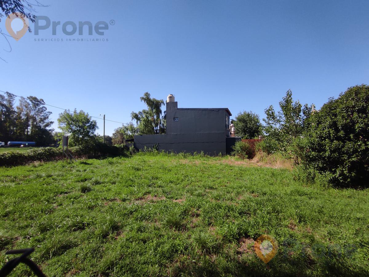 #3650819 | Venta | Lote | Roldan (Prone Servicios Inmobiliarios)