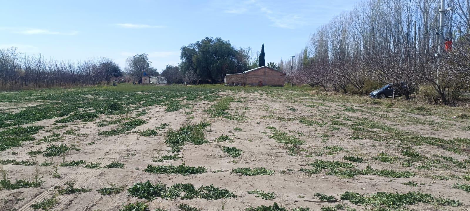 #4683555 | Venta | Lote | General Alvear (Impagliazzo Stella)