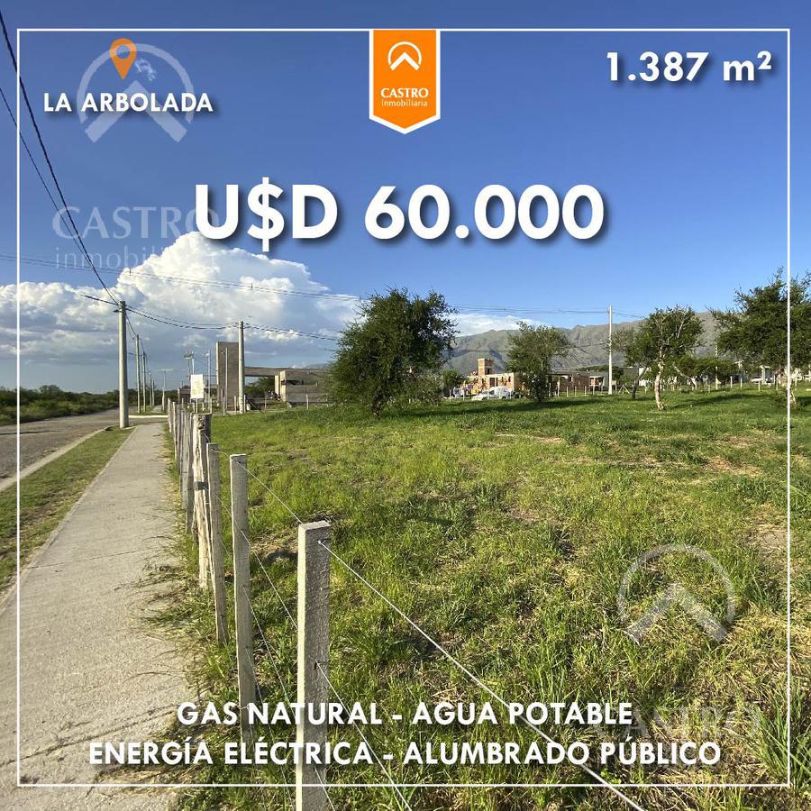 #3692773 | Venta | Lote | Merlo (Castro Inmobiliaria)