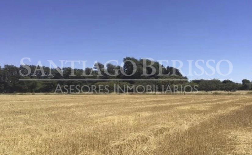 #5038646 | Sale | Farm | Zarate (SB Asesores Inmobiliarios)