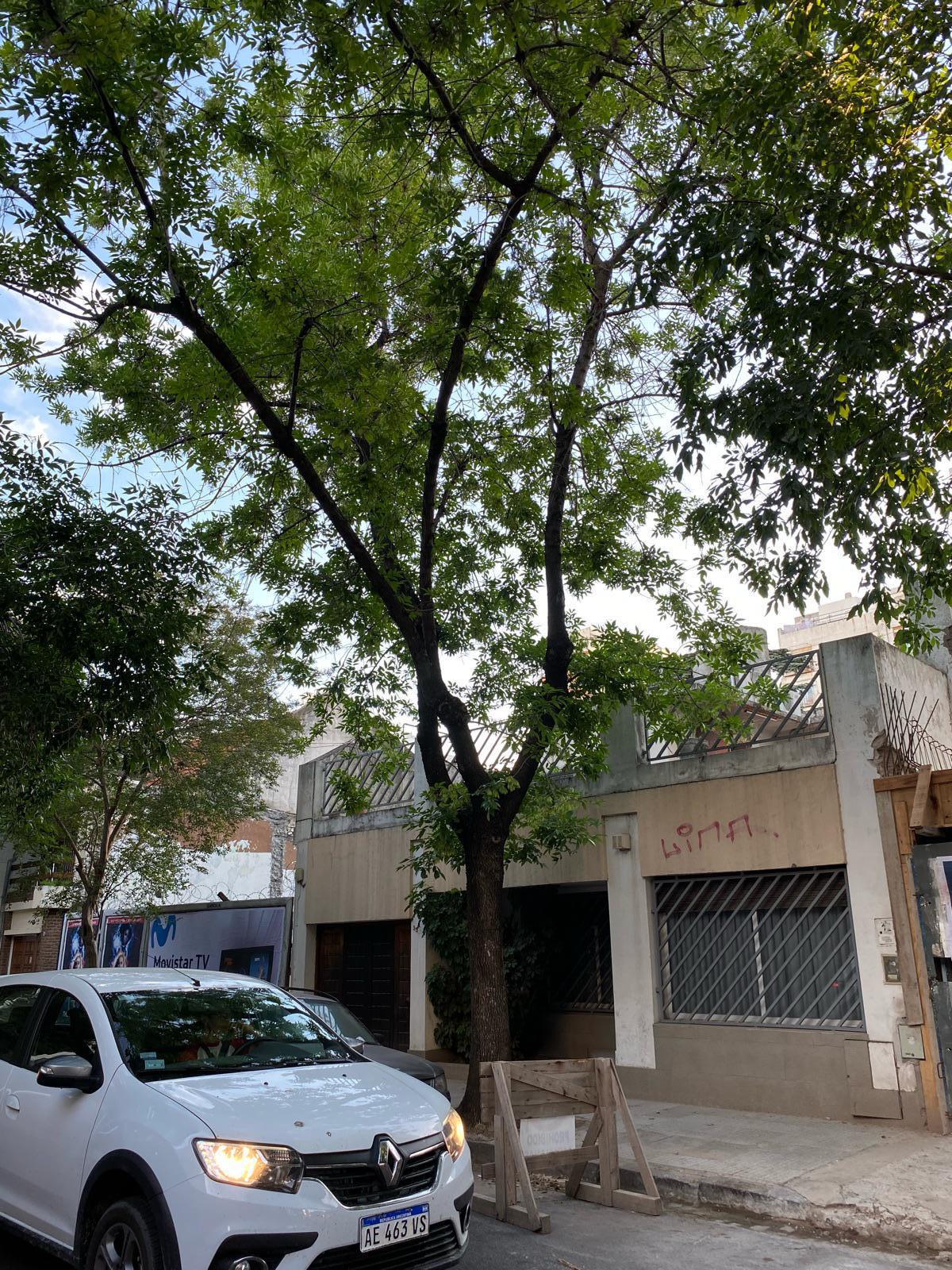 #5401462 | Rental | Store | Nuñez (Verardi Propiedades)