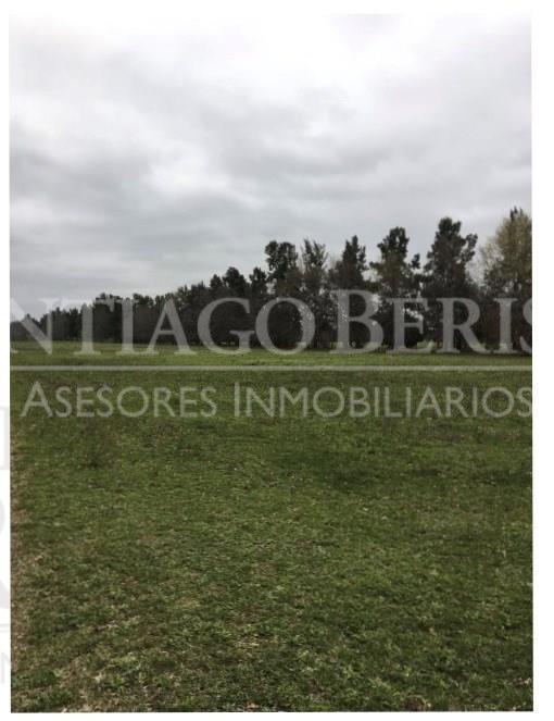 #5038665 | Venta | Campo / Chacra | Campana (SB Asesores Inmobiliarios)