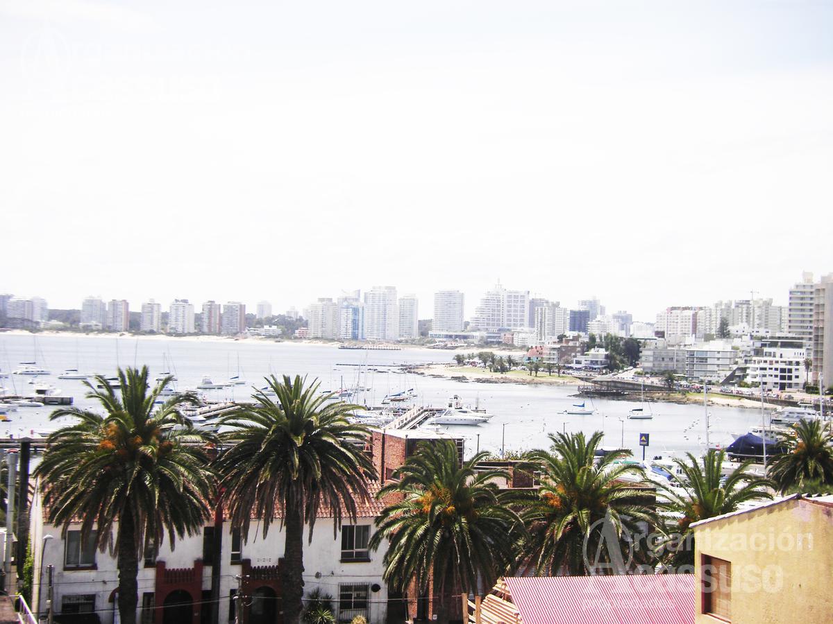 #535057 | Venta | Departamento | Punta del Este (Organización Acassuso - Casa Central)