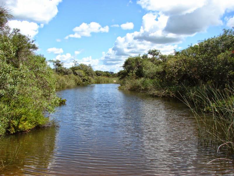 #1004005 | Venta | Campo / Chacra | Faro José Ignacio (Terramar)