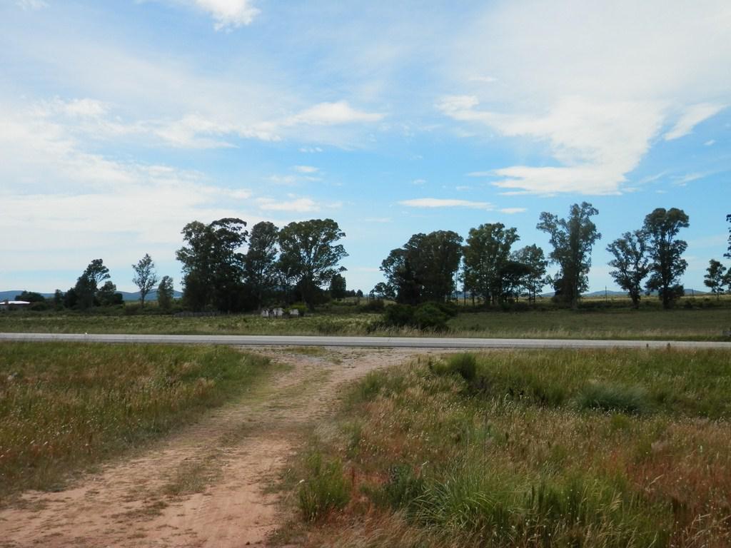 #621576 | Venta | Campo / Chacra | lavalleja (Terramar)