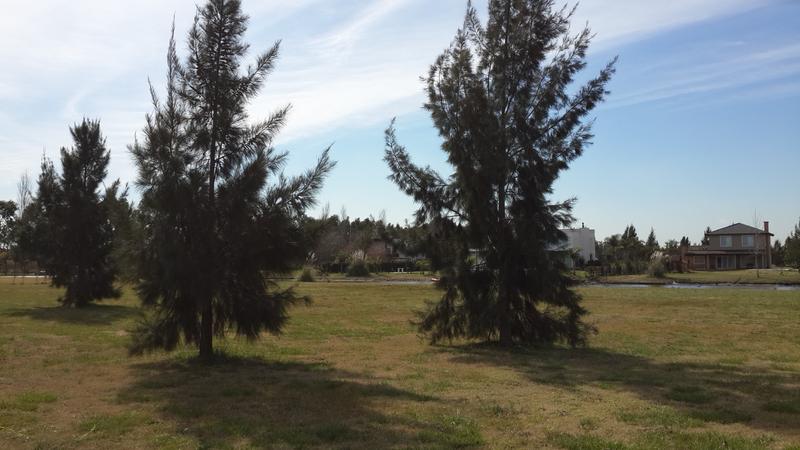 #727855 | Venta | Lote | Gomez De La Vega (Ianchuk)