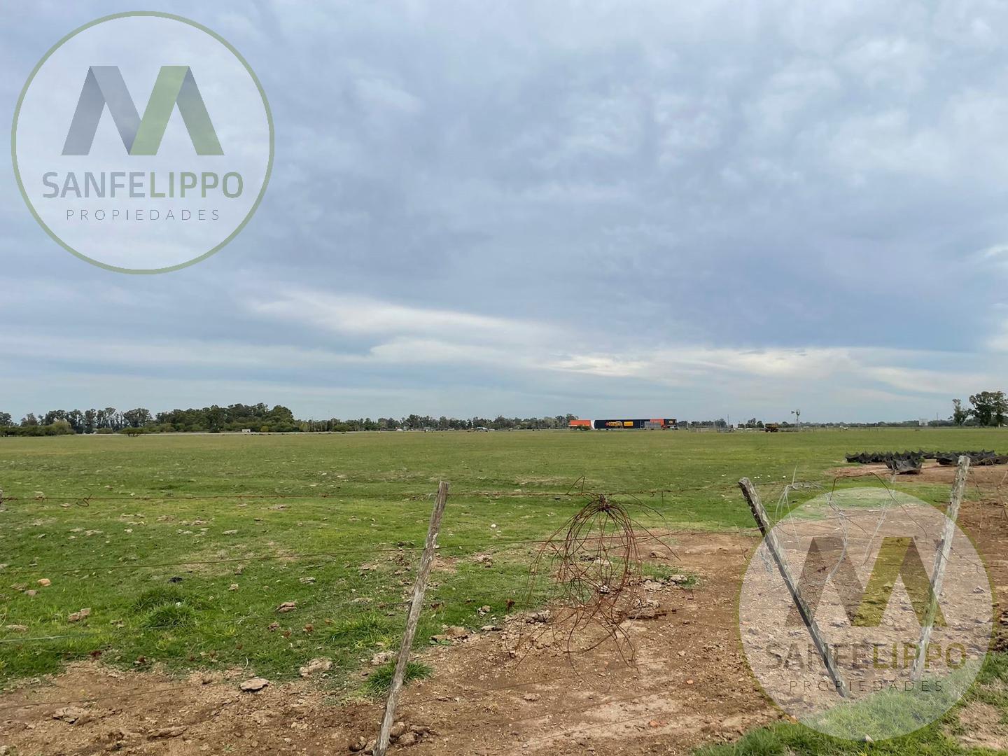 #4432944 | Venta | Campo / Chacra | Chascomus (Sanfelippo Propiedades)