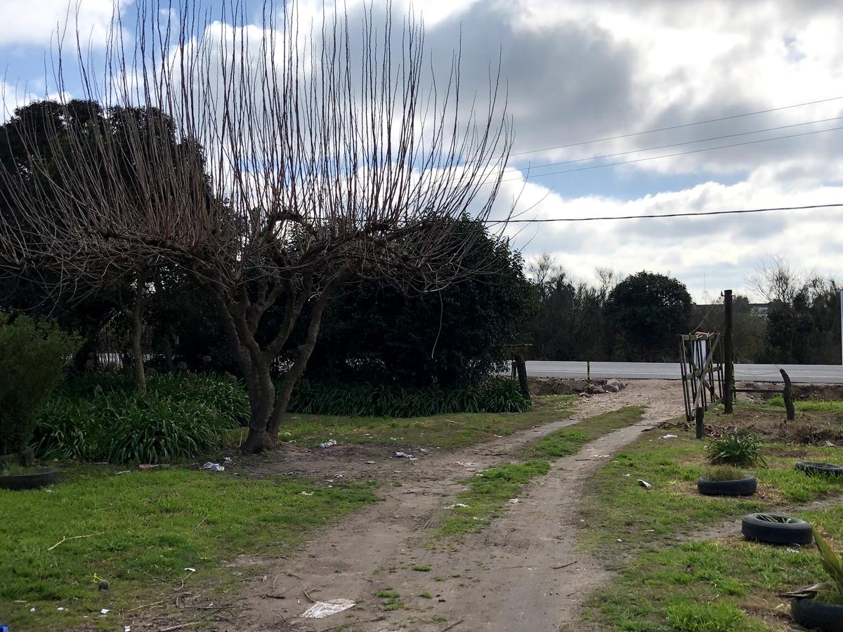 #1383621 | Venta | Campo / Chacra | Colonia del Sacramento (Terrasol)