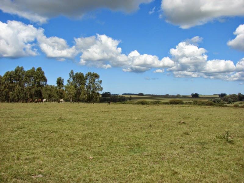 #1004003 | Venta | Campo / Chacra | Faro José Ignacio (Terramar)