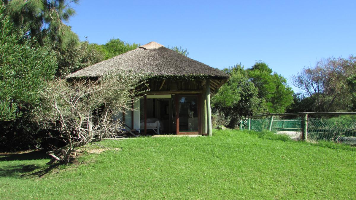 #1004066 | Temporary Rental | Farm | Laguna de Jose Ignacio (Terramar)