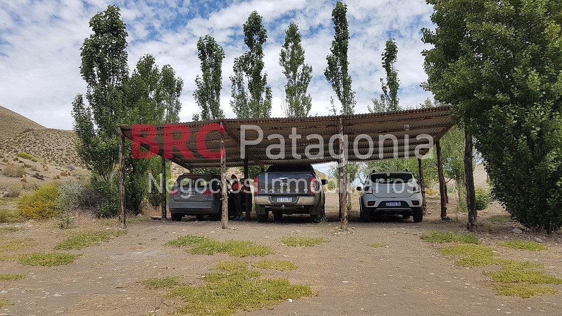 #2566678 | Venta | Campo / Chacra | Paso Flores (BRC Patagonia)