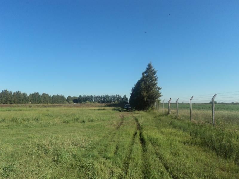 #3382555 | Venta | Campo / Chacra | Rosario (ALAGNA PROPIEDADES)