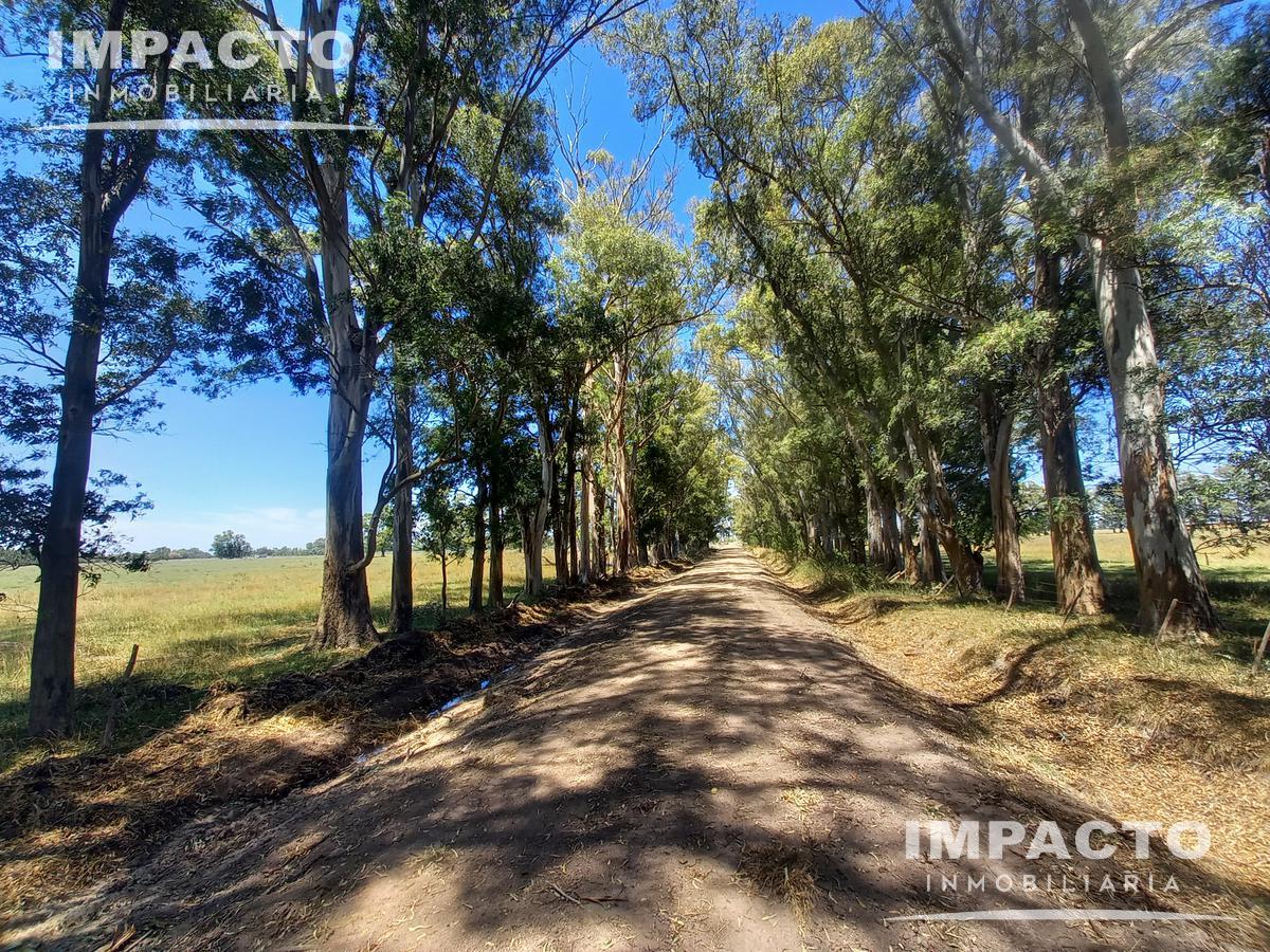 #5483289 | Venta | Campo / Chacra | Ruta 9 Kilometro 72 (Impacto Operaciones Inmobiliarias )