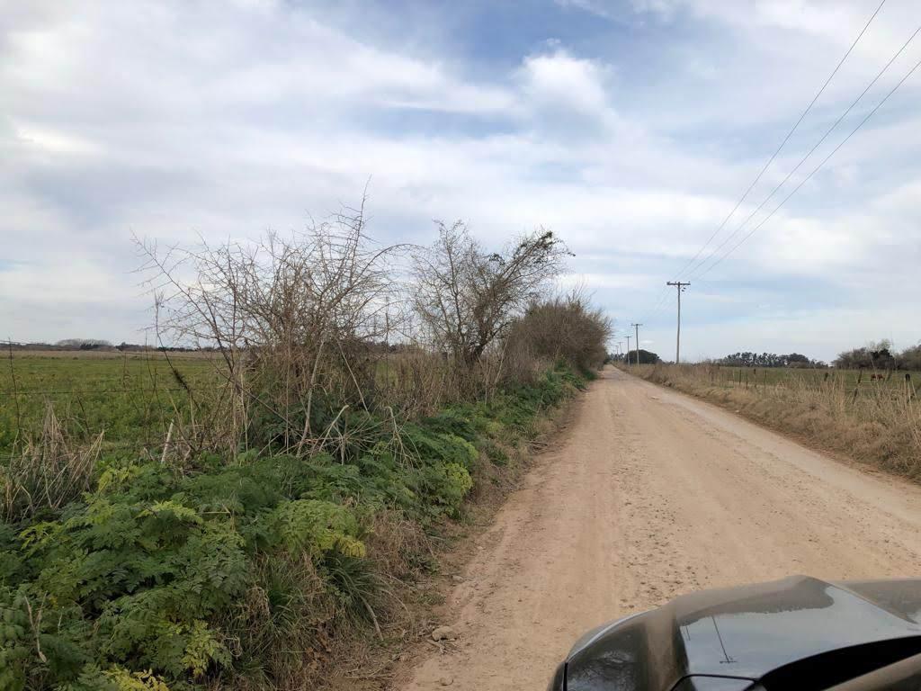 #746693 | Venta | Campo / Chacra | Los Cardales (Silvina Sanchez Soria)