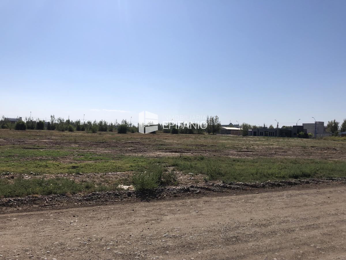 #2546669 | Venta | Lote | General Roca (Inmobiliaria Epifanio)