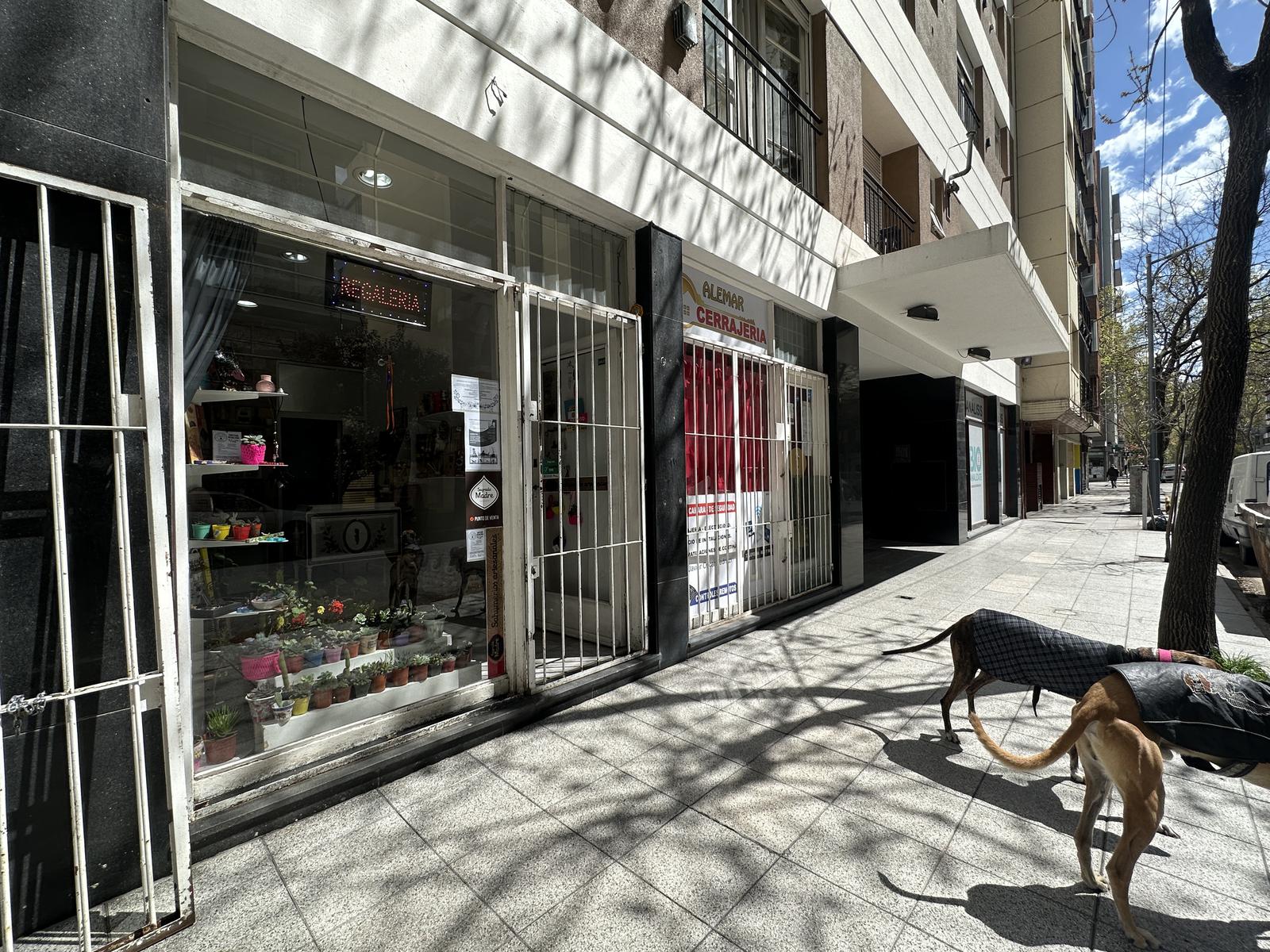 #4655757 | Venta | Local | Centro (Insabella Propiedades)