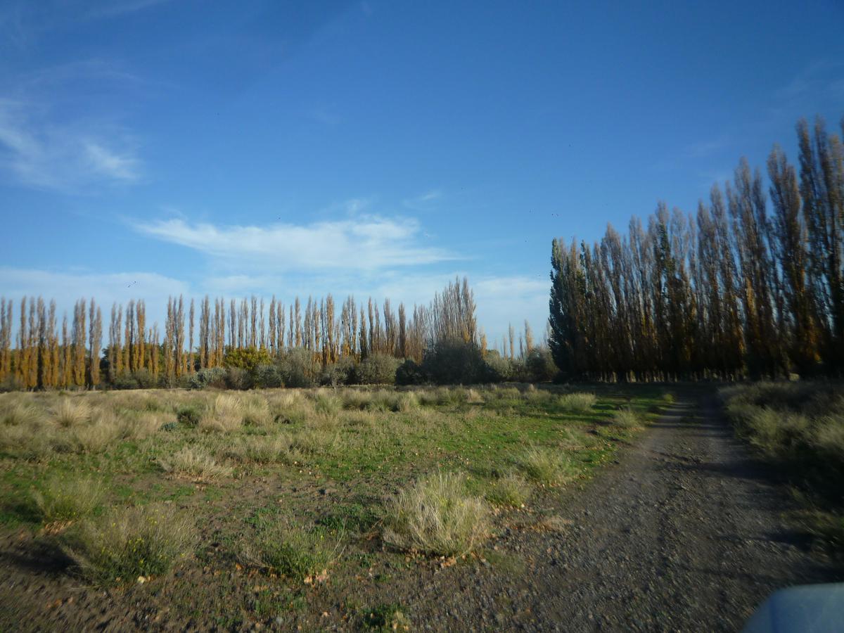 #714592 | Venta | Campo / Chacra | San Antonio Oeste (Inmobiliaria Comodoro Sociedad Anonima)