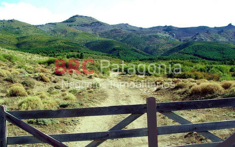 #2528271 | Venta | Campo / Chacra | Bariloche (BRC Patagonia)