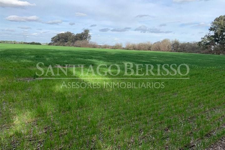 #5038656 | Sale | Farm | Lima (SB Asesores Inmobiliarios)