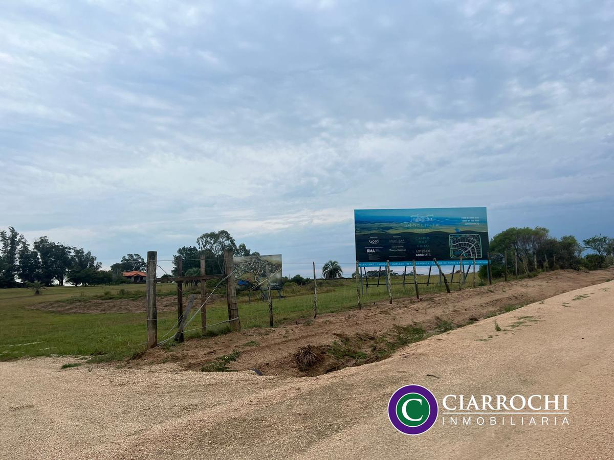 #3721338 | Sale | Lot | Faro José Ignacio (CIARROCHI INMOBILIARIA)