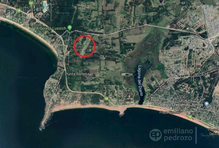 #5021944 | Venta | Lote | Punta Ballena (Emiliano Pedrozo)