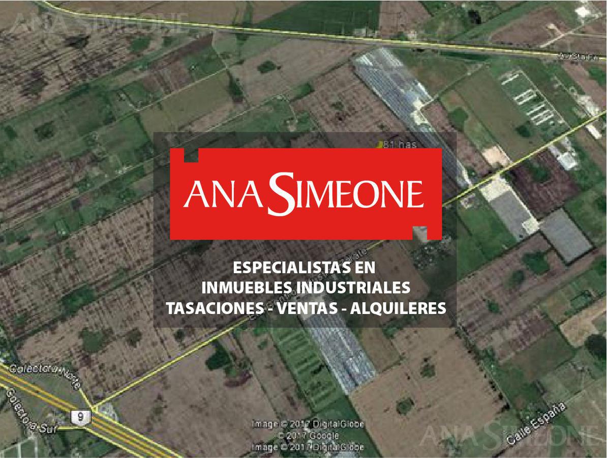 #185631 | Venta | Campo / Chacra | Zarate (Ana Simeone | Inmuebles Corporativos)