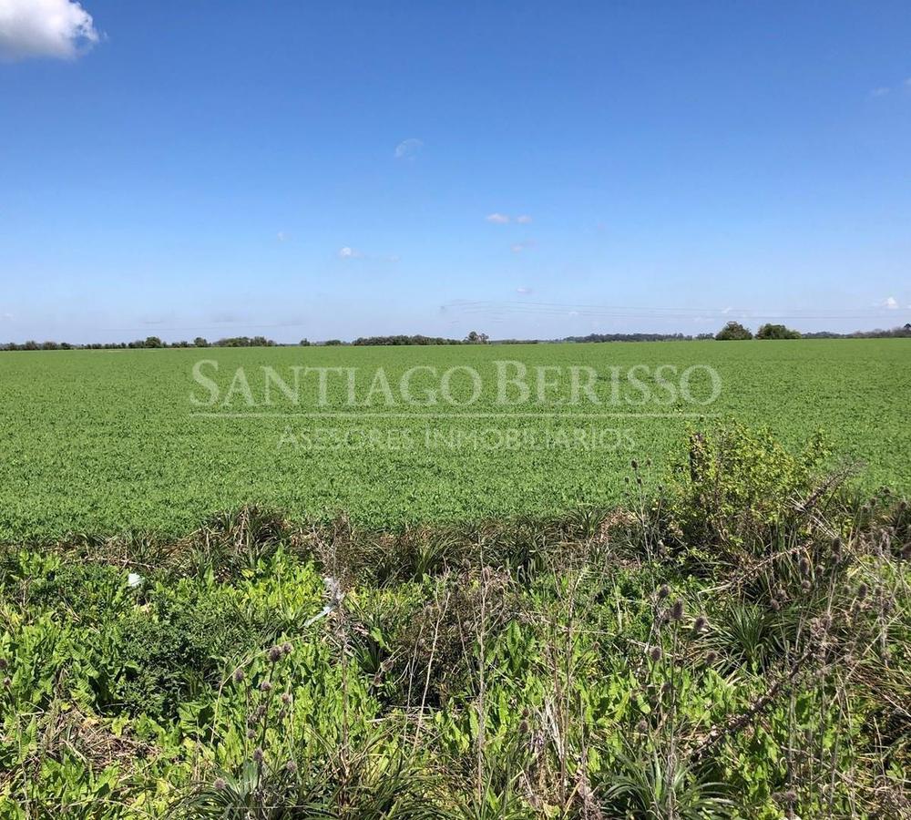 #5038658 | Sale | Farm | Zarate (SB Asesores Inmobiliarios)