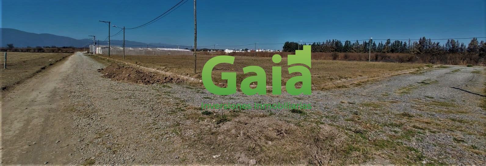 #4973263 | Venta | Lote | Barrio San Carlos (GAIA INMOBILIARIA)