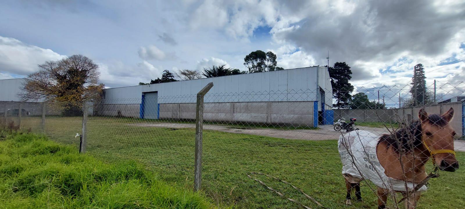 #5148363 | Alquiler | Galpón / Depósito / Bodega | Mar Del Plata (Espatolero & Lorenzo)