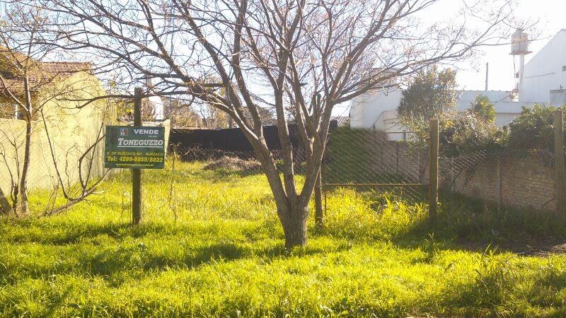 #206421 | Sale | Lot | Burzaco (Toneguzzo Inmobiliaria)