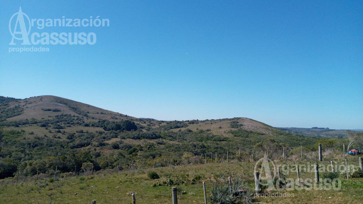 #1490038 | Venta | Campo / Chacra | Maldonado (Organización Acassuso - Casa Central)