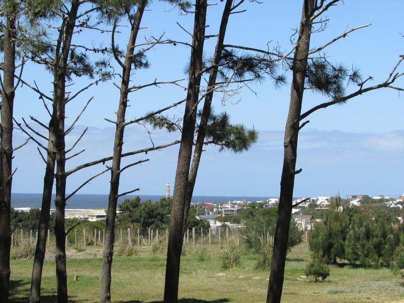 #664625 | Venta | Lote | Faro José Ignacio (Terramar)