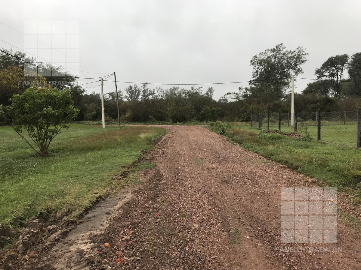 #250382 | Venta | Lote | Linda Vista (FANELLI TRABALON)