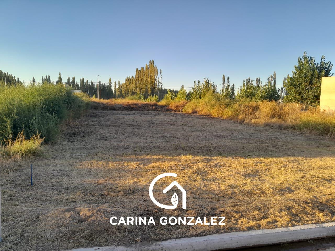 #5009536 | Venta | Lote | Plottier (Carina Gonzalez - Servicios Inmobiliarios)